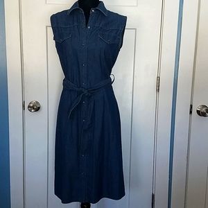 The Limited blue denim style dress Size 10